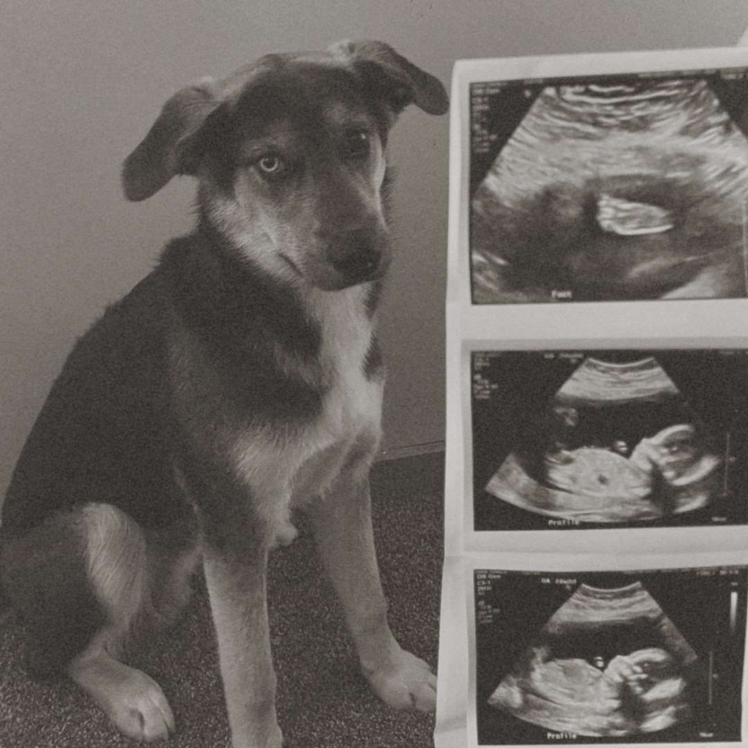 Photo shared by Carley for their Babylist baby registry.