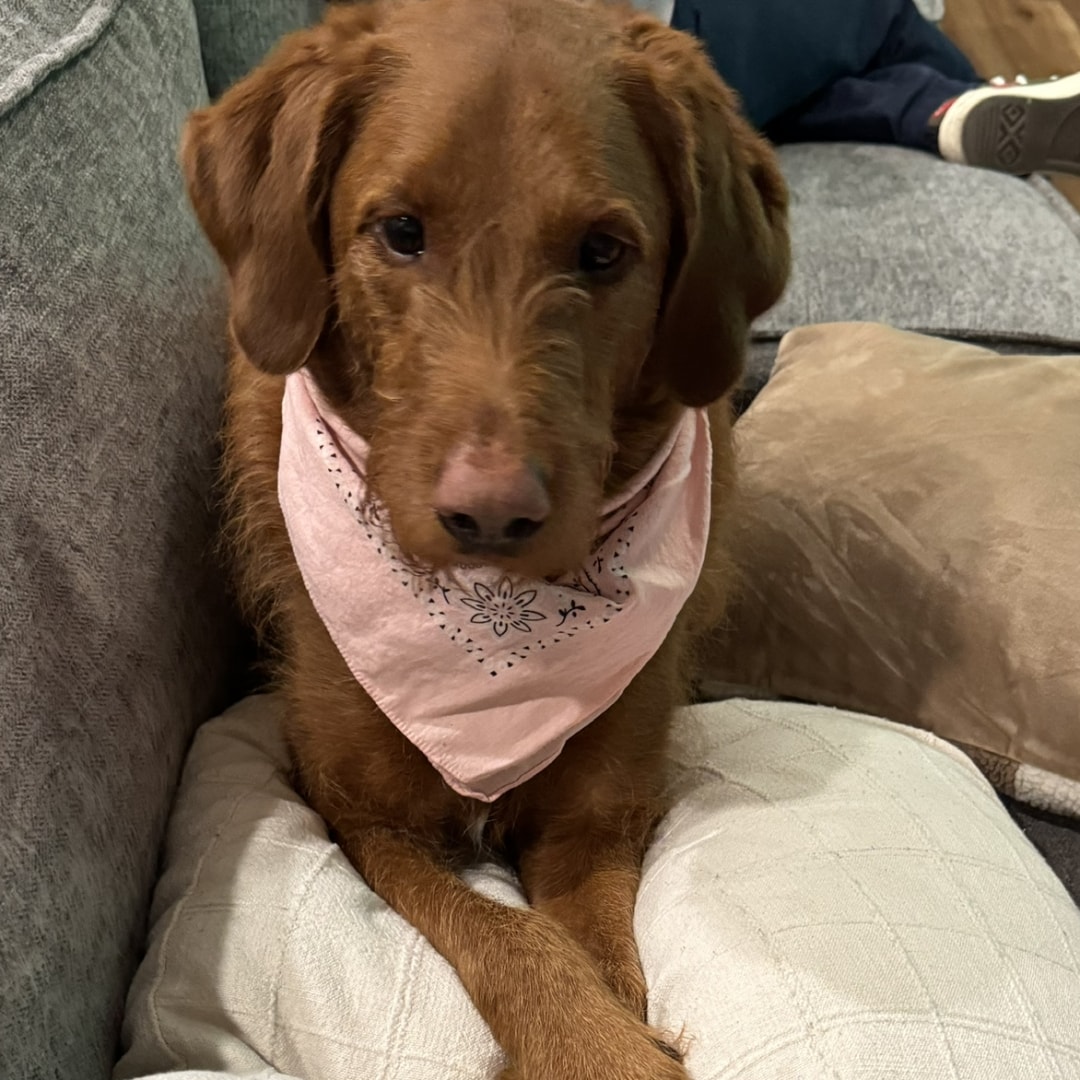 Photo shared by Gabriela for their Babylist baby registry.