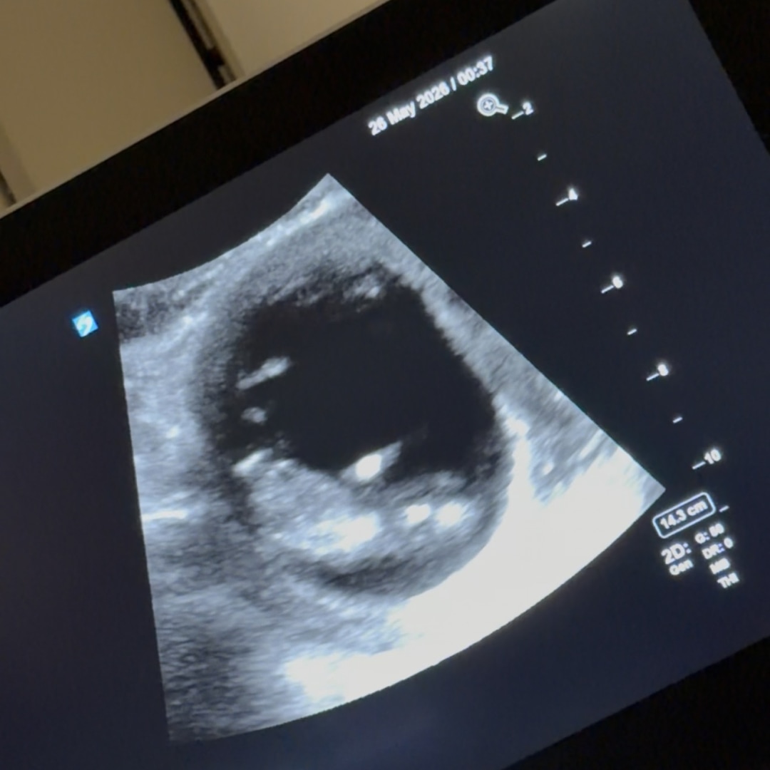 Photo shared by ALEJANDRO for their Babylist baby registry.