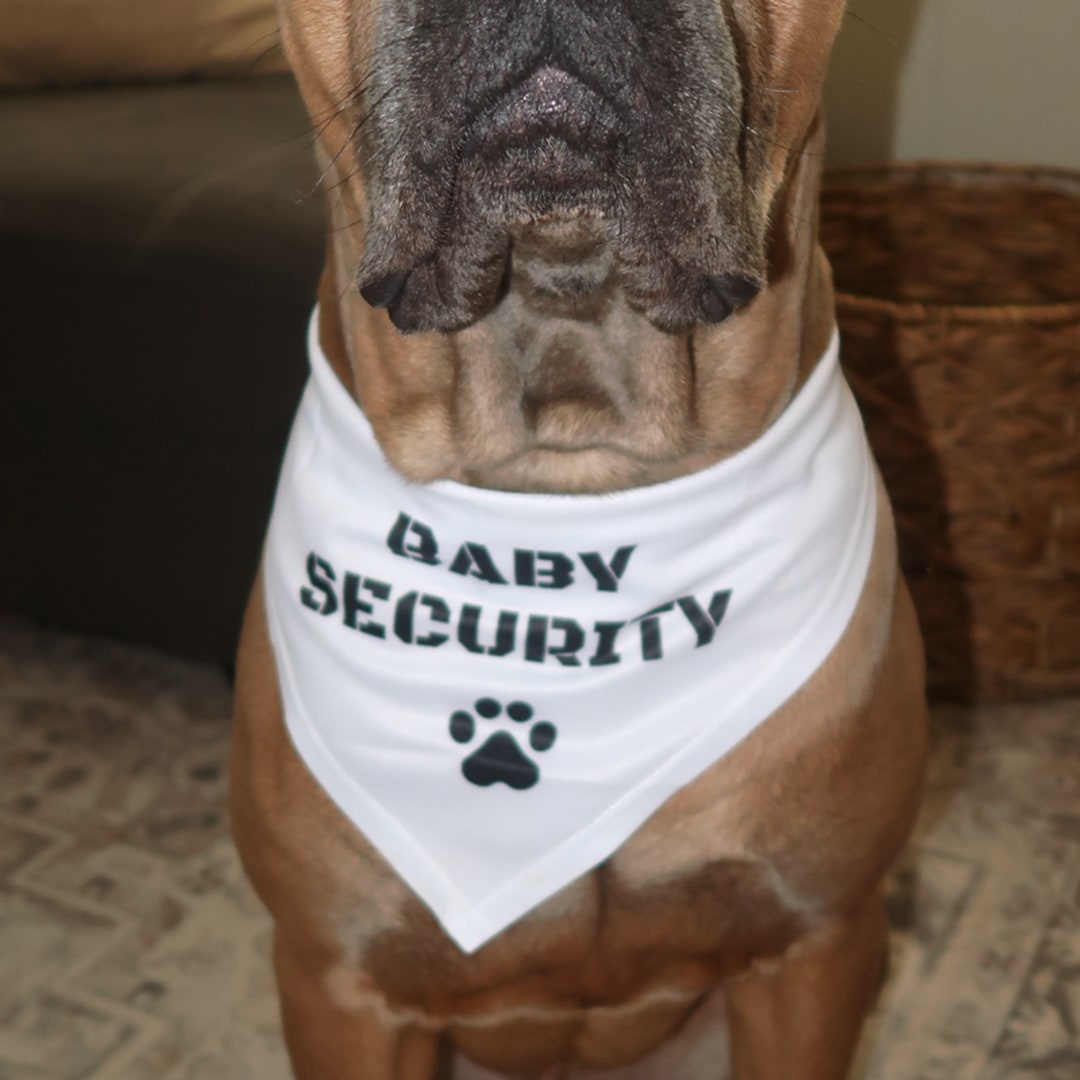 Photo shared by Farrah for their Babylist baby registry.