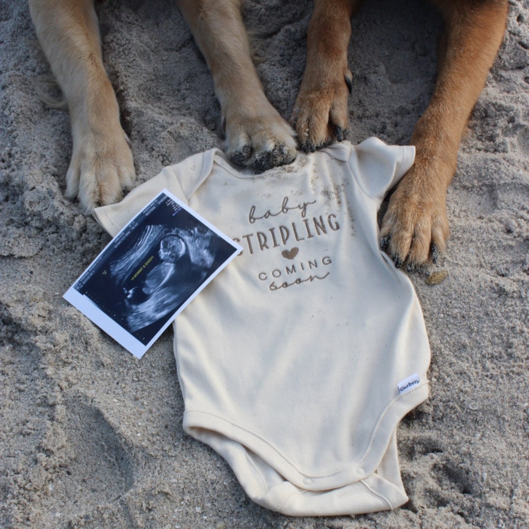 Photo shared by Amanda for their Babylist baby registry.