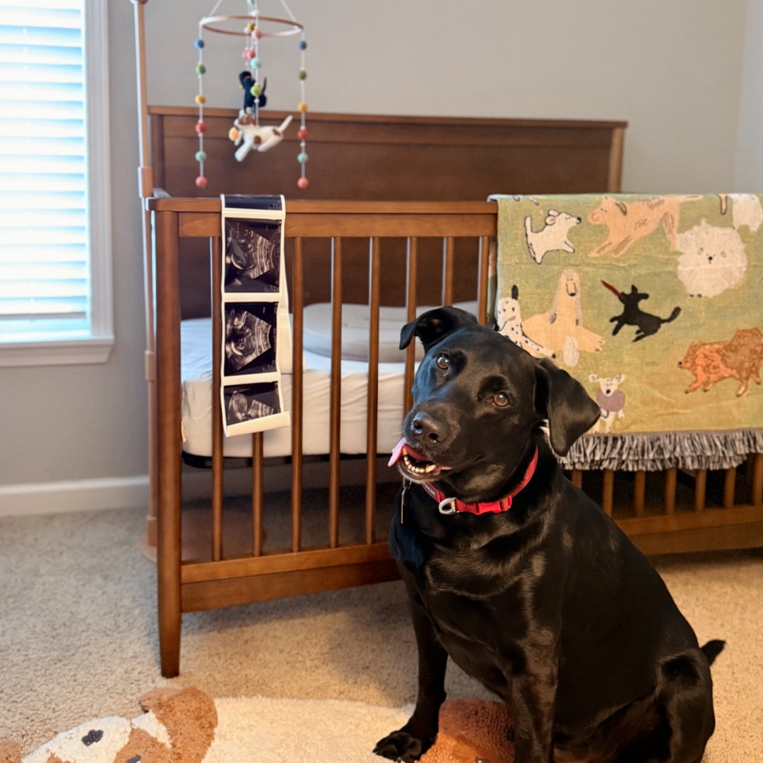 Photo shared by Olivia for their Babylist baby registry.