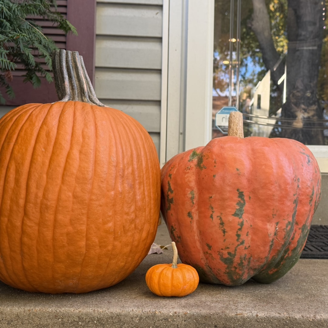 Photo shared by Katie for their Babylist baby registry.