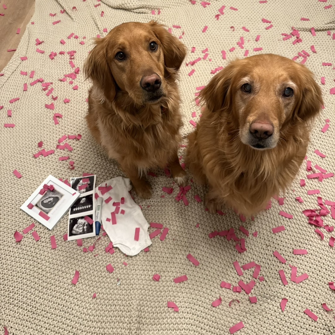 Photo shared by Angel for their Babylist baby registry.