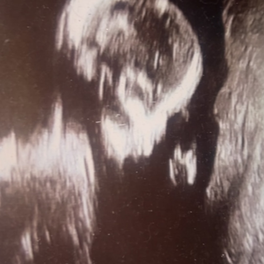Photo shared by Jamie for their Babylist baby registry.