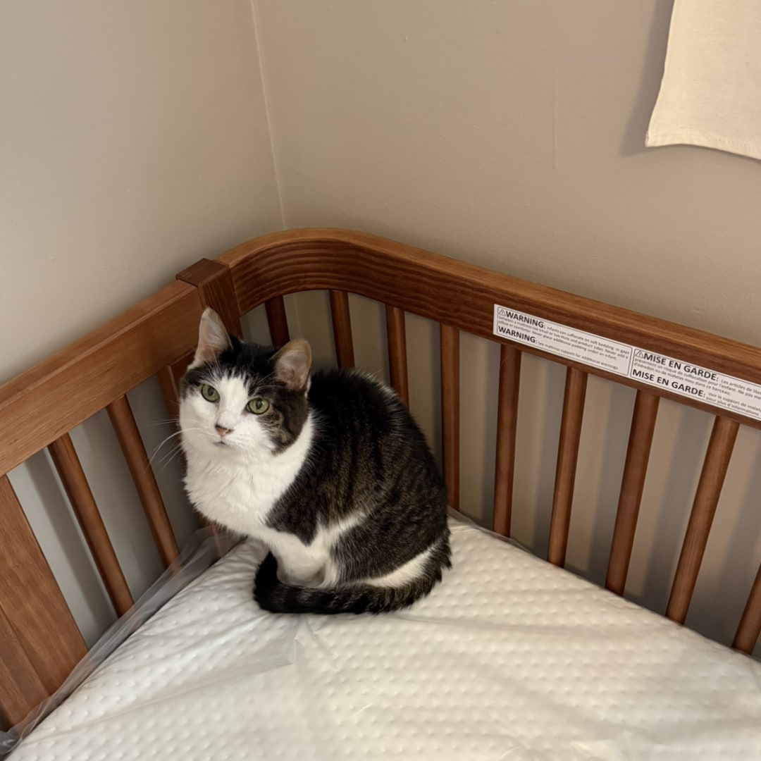 Photo shared by Jenna for their Babylist baby registry.