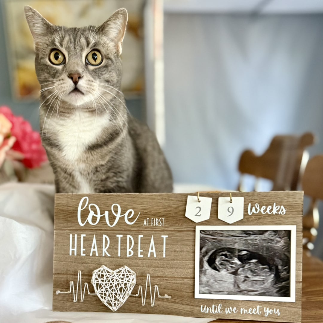 Photo shared by Liz for their Babylist baby registry.