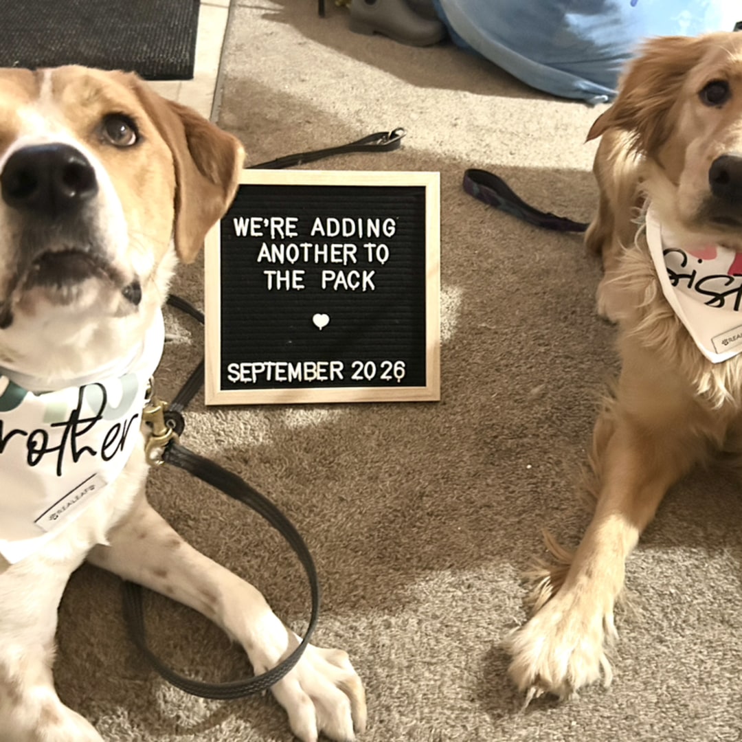 Photo shared by Allison for their Babylist baby registry.