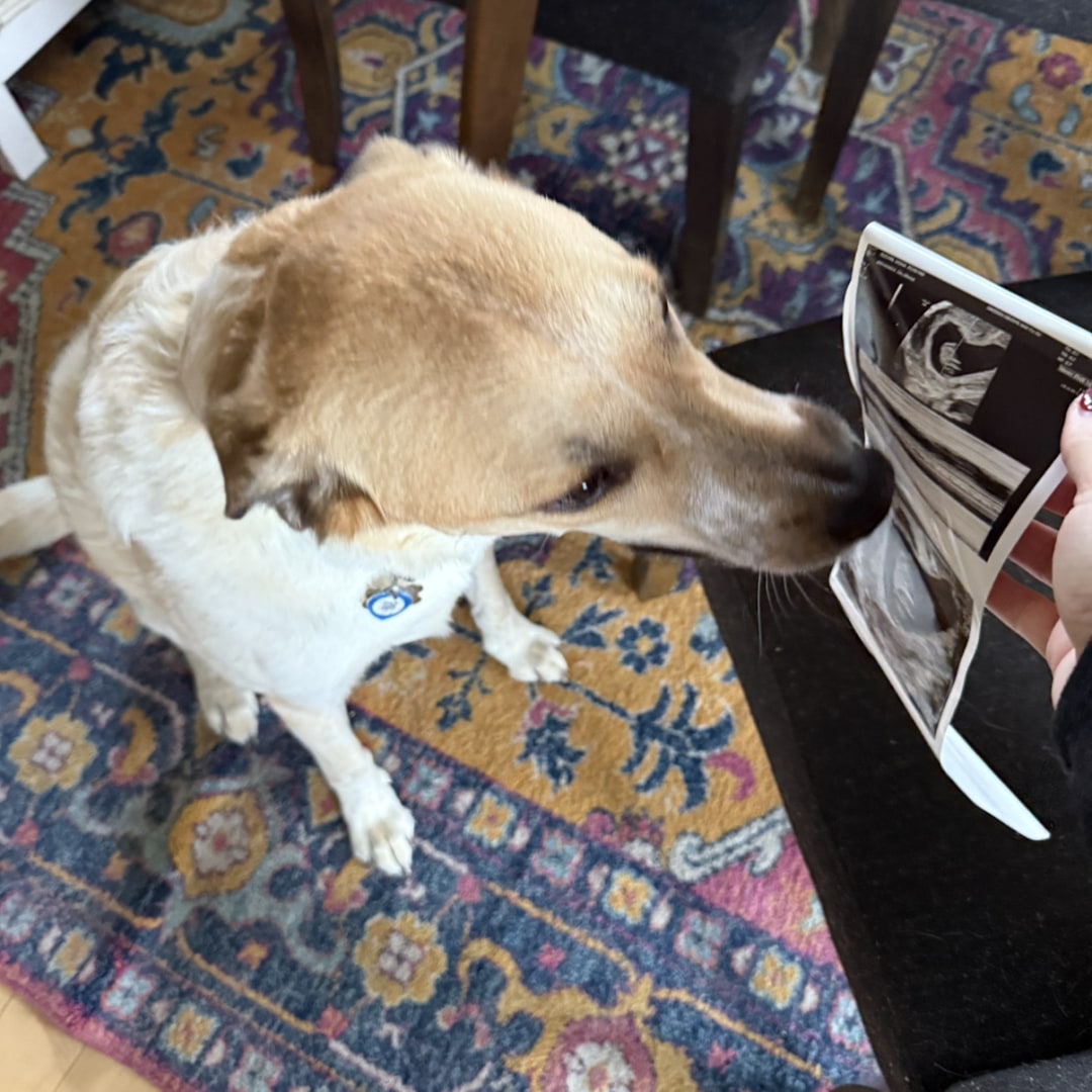 Photo shared by Sasha for their Babylist baby registry.