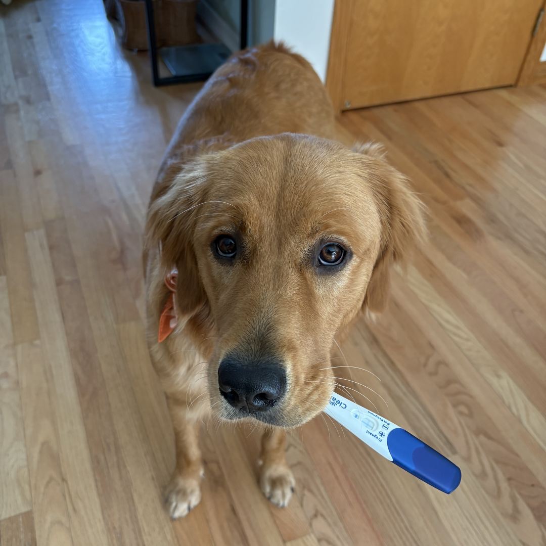 Photo shared by Abby for their Babylist baby registry.