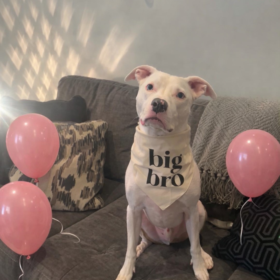 Photo shared by Jaimi for their Babylist baby registry.