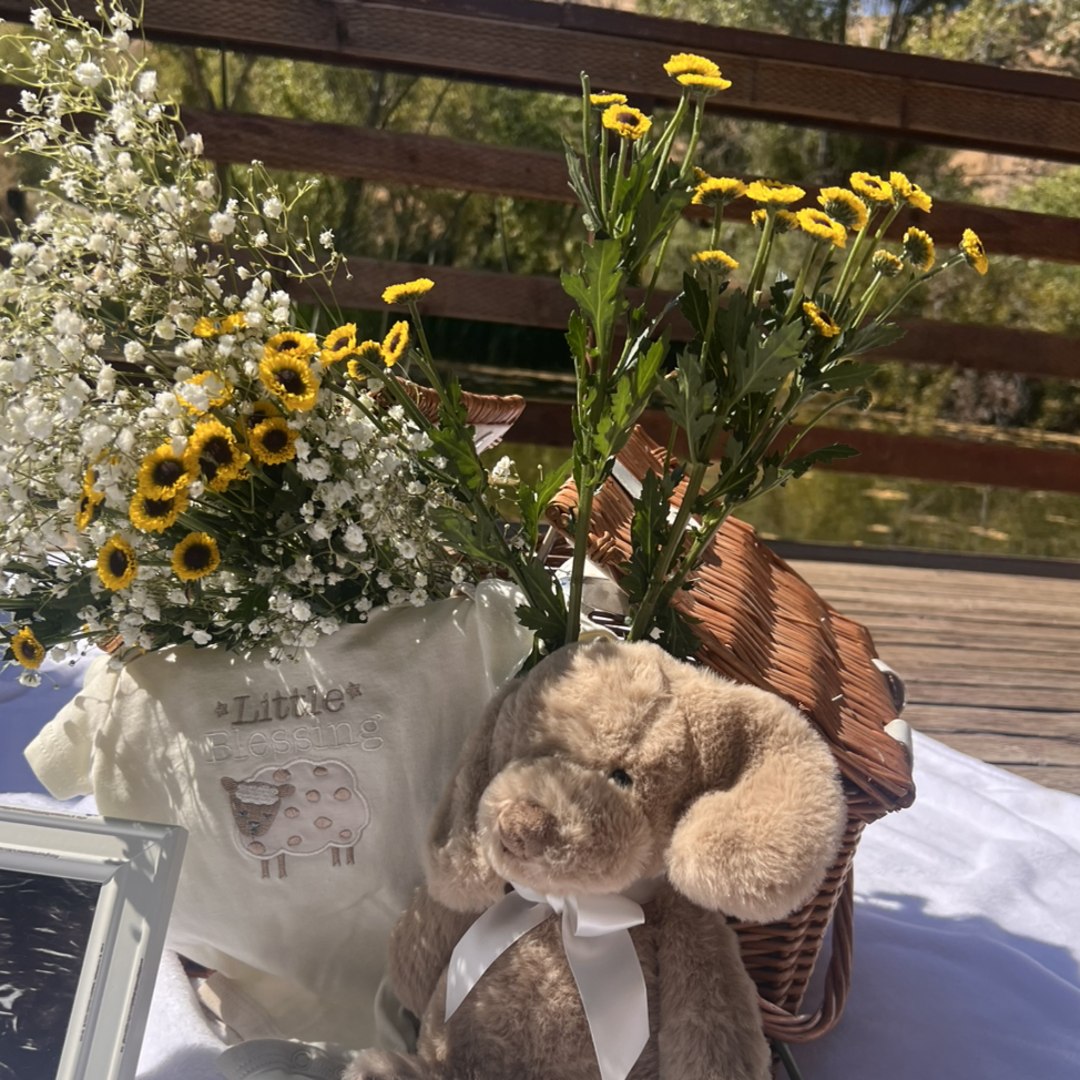 Photo shared by Giovana for their Babylist baby registry.