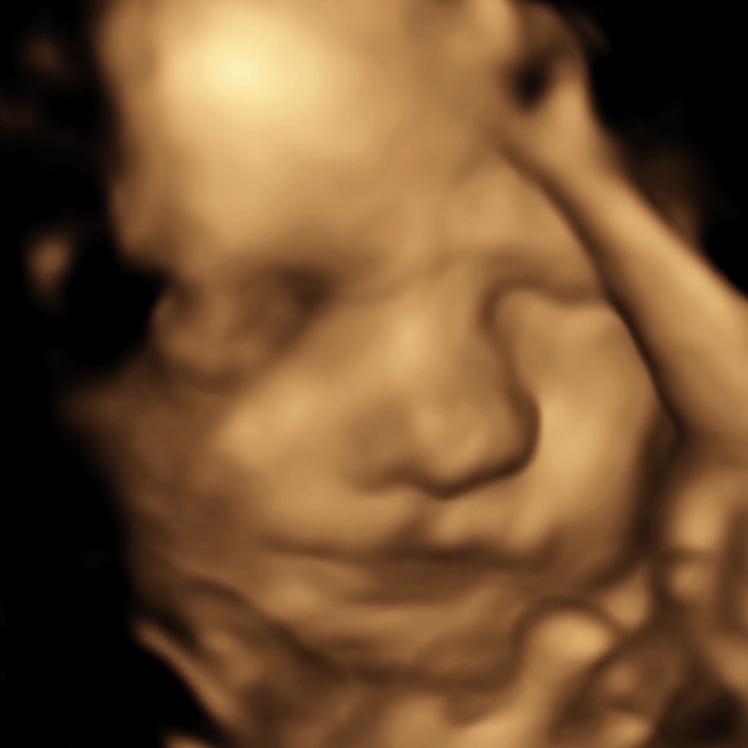 Photo shared by Marissa for their Babylist baby registry.