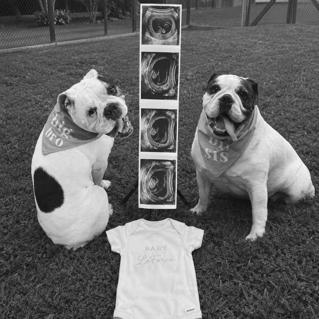 Photo shared by Amber for their Babylist baby registry.