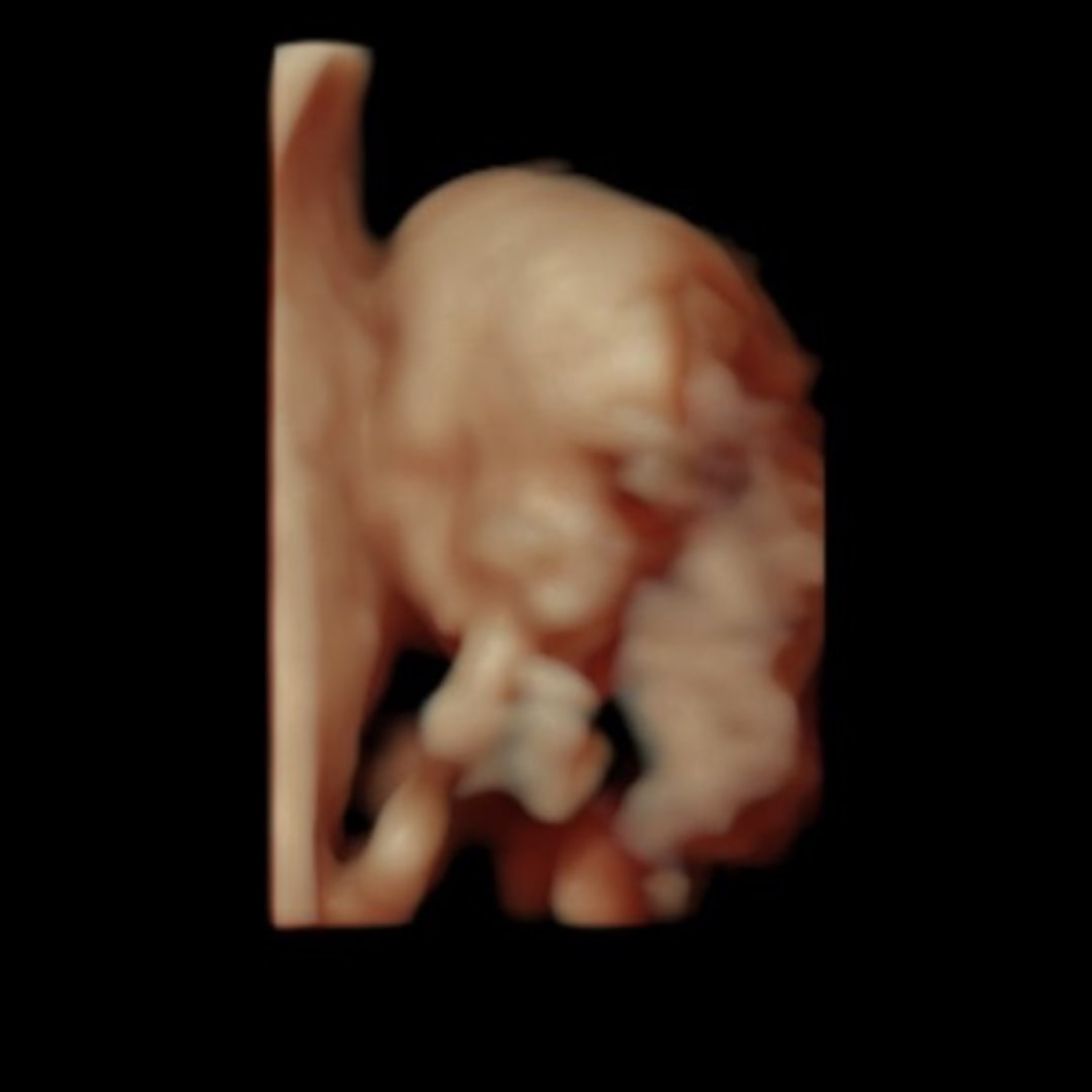 Photo shared by Ashley for their Babylist baby registry.