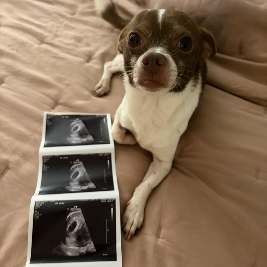 Photo shared by Esme for their Babylist baby registry.