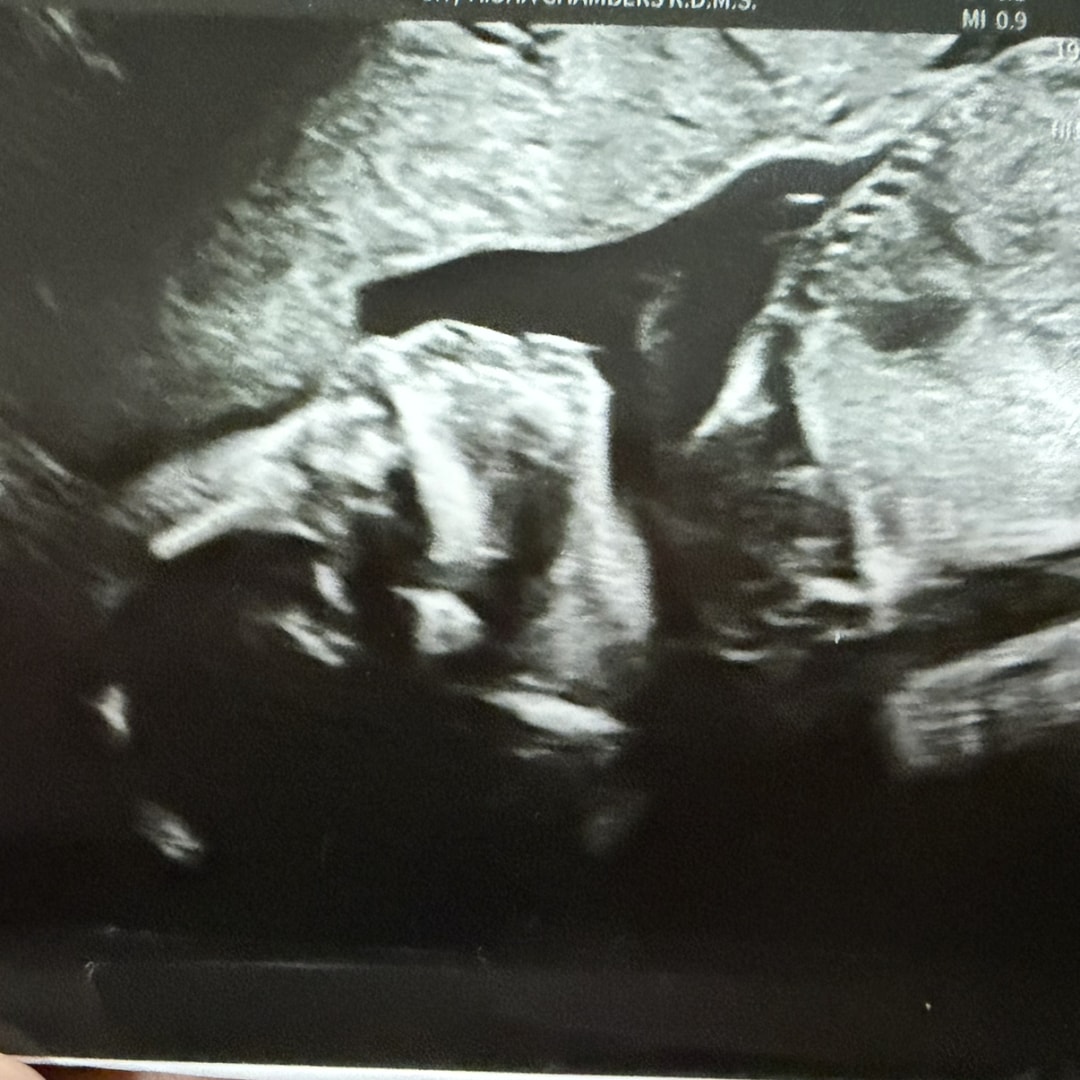 Photo shared by Margarita for their Babylist baby registry.