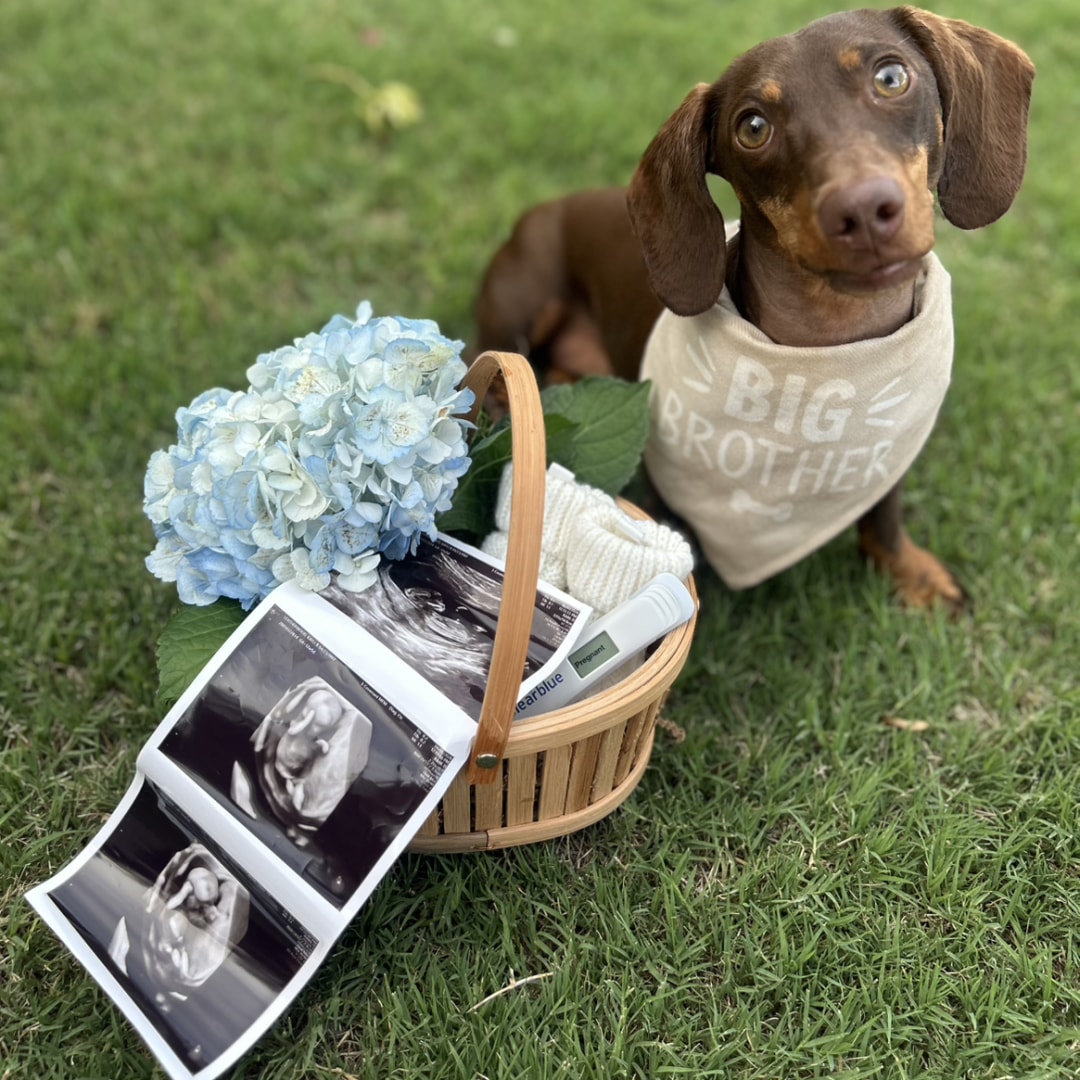 Photo shared by Kayli for their Babylist baby registry.