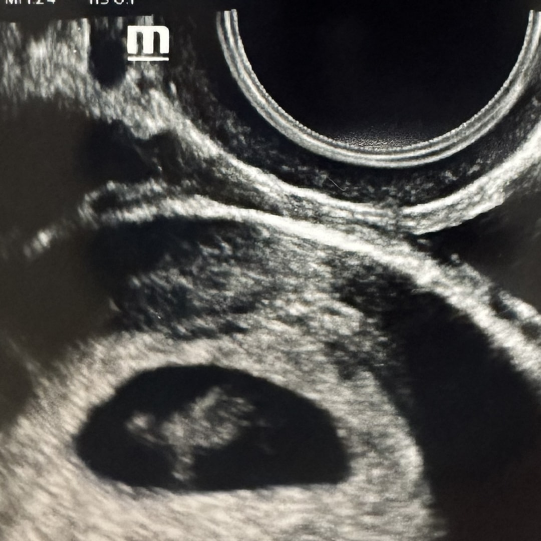Photo shared by Haven for their Babylist baby registry.