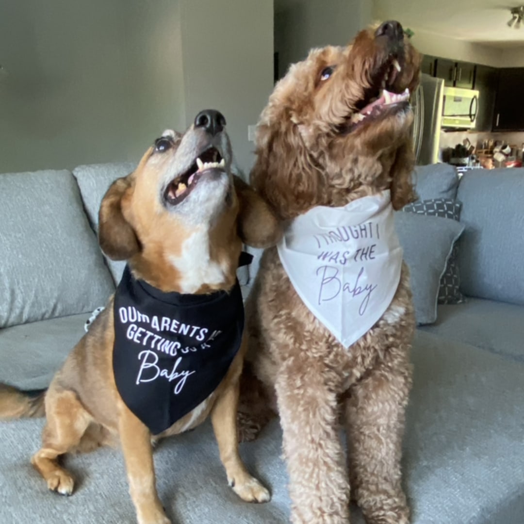 Photo shared by Danielle for their Babylist baby registry.