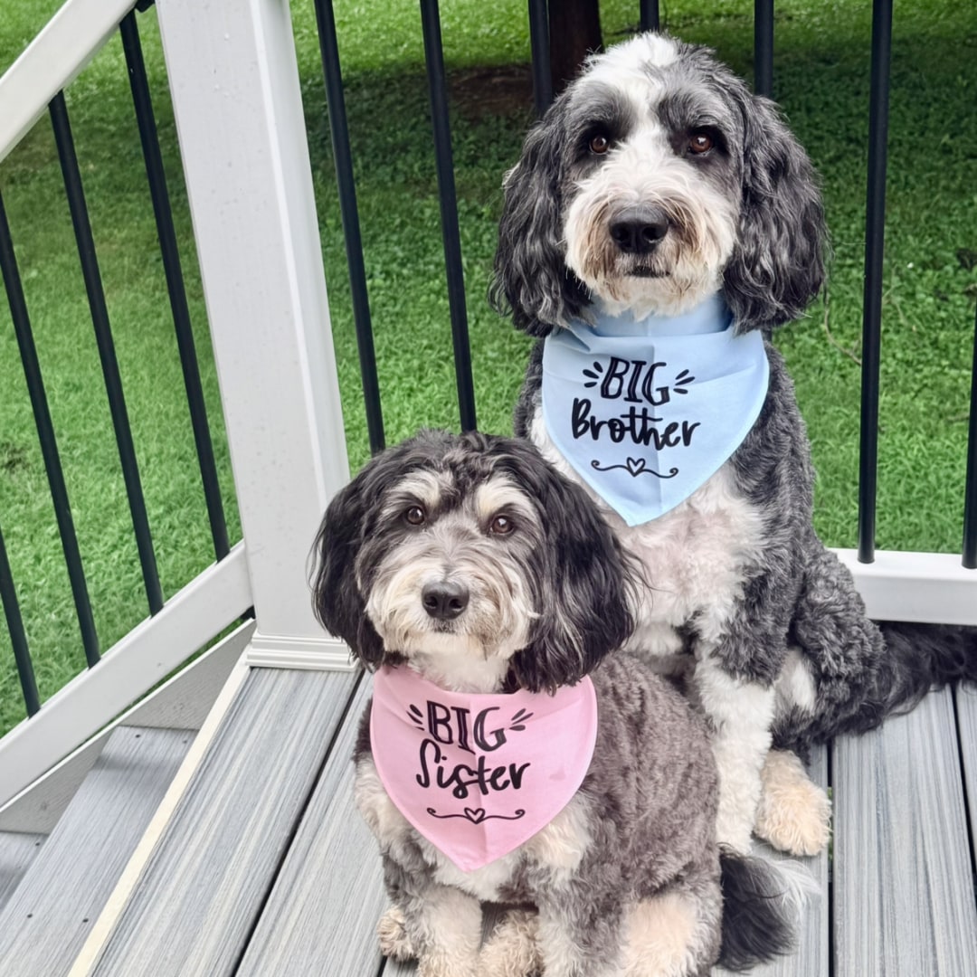 Photo shared by Gabriella & Jacob for their Babylist baby registry.