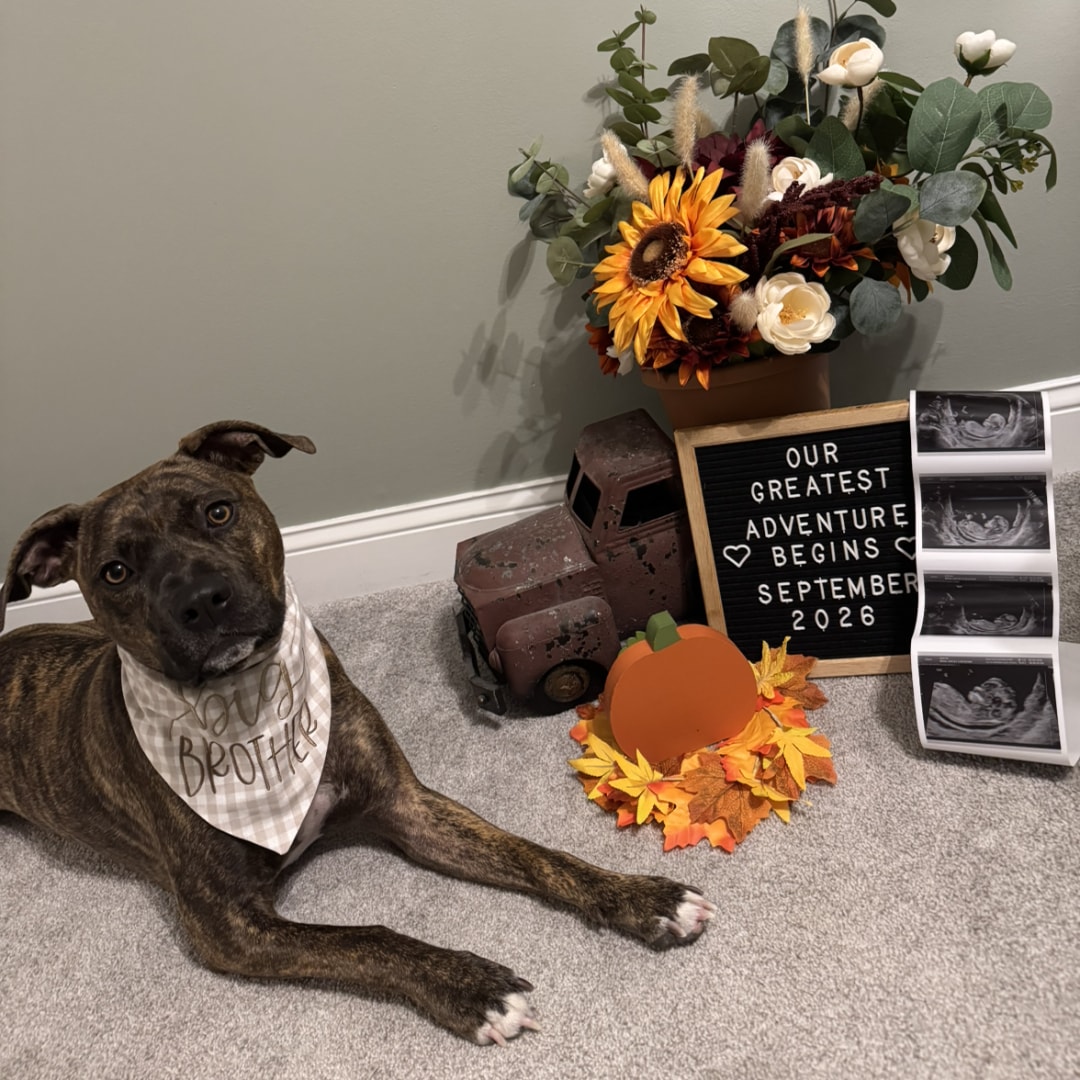 Photo shared by Hayley for their Babylist baby registry.