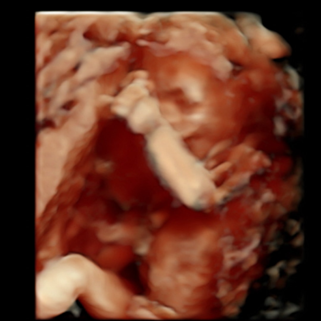 Photo shared by Brittany for their Babylist baby registry.