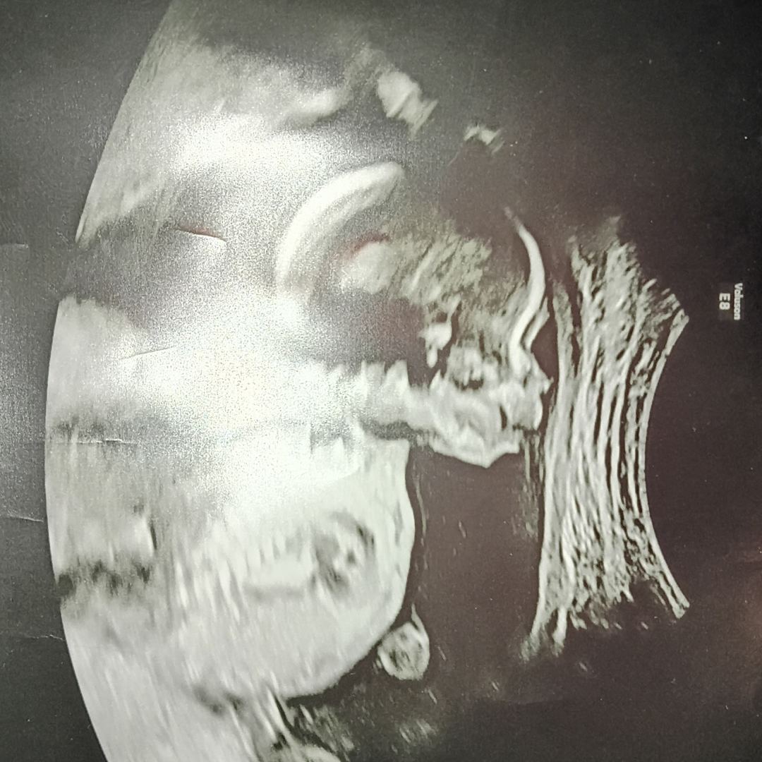 Photo shared by Janiya for their Babylist baby registry.