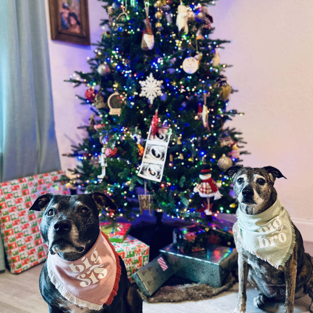 Photo shared by Brittany for their Babylist baby registry.