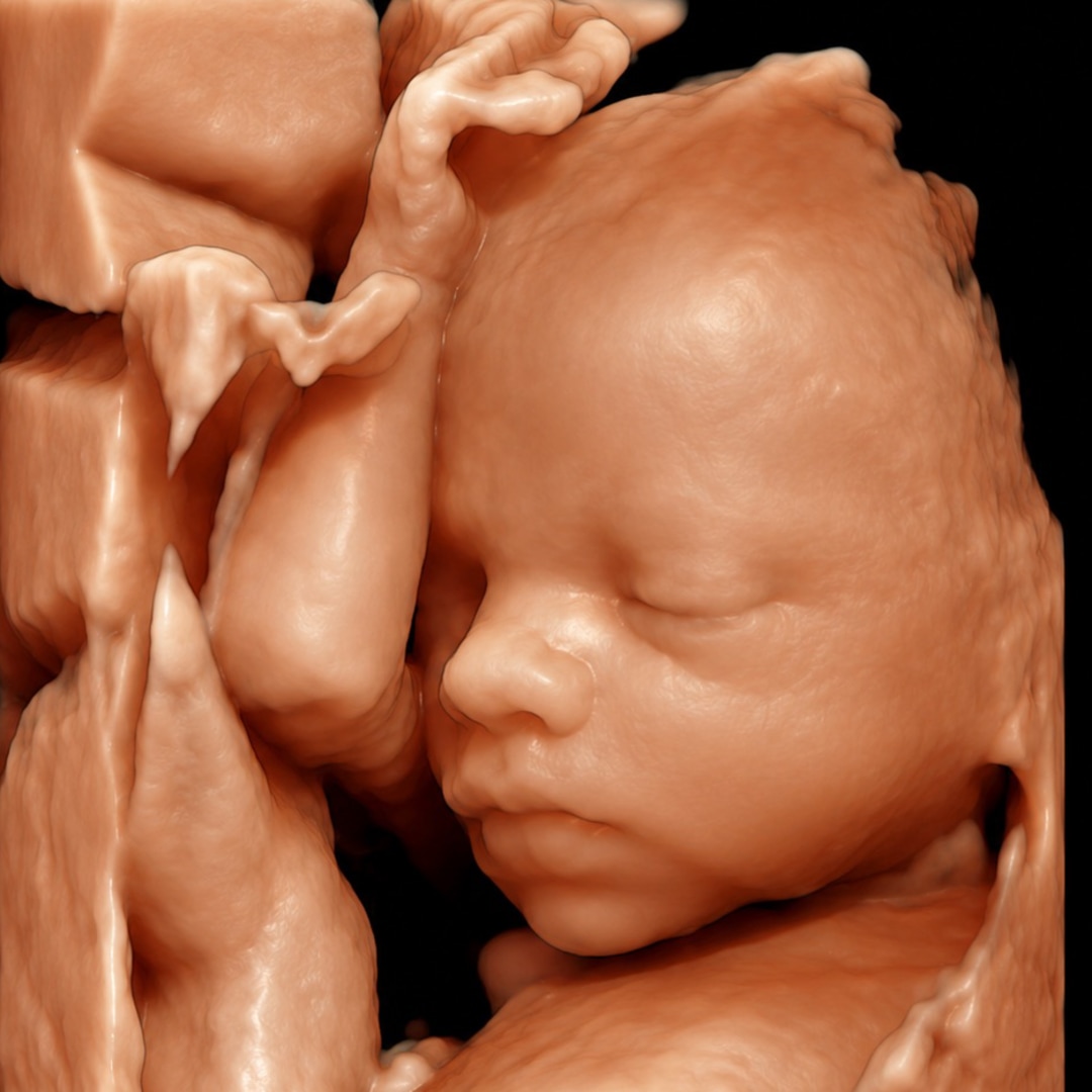 Photo shared by Erin for their Babylist baby registry.