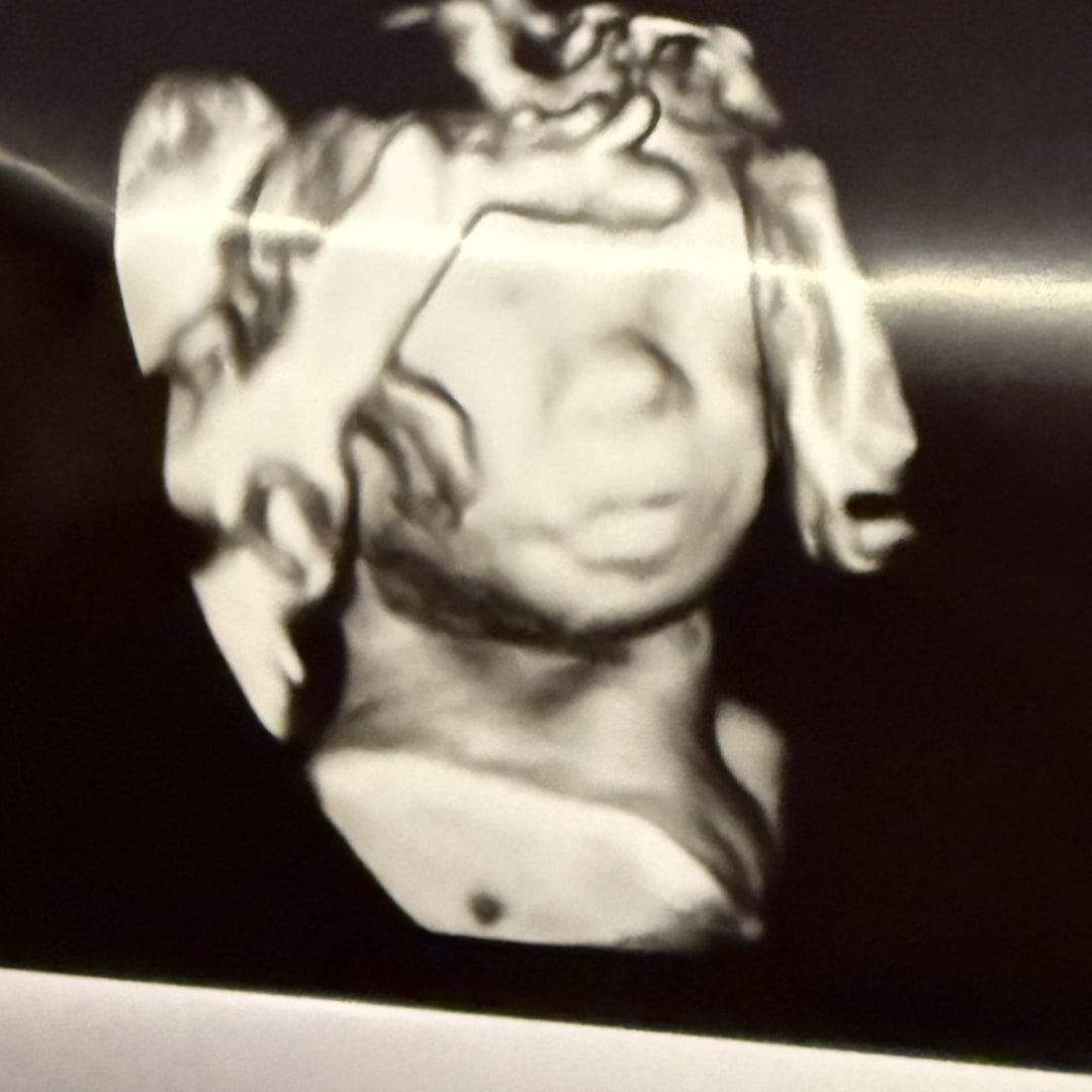 Photo shared by Haley Jeanette for their Babylist baby registry.