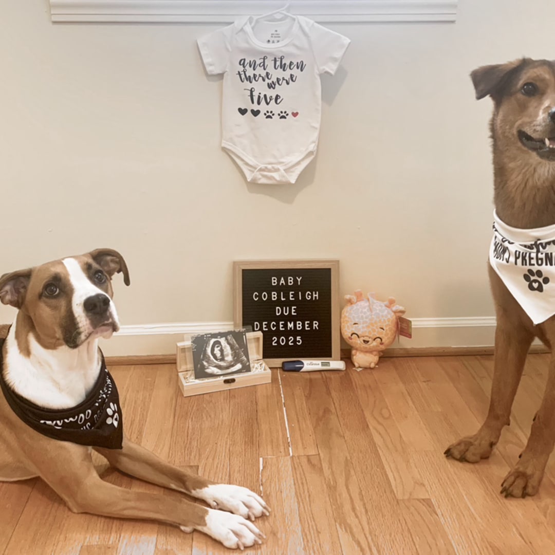 Photo shared by Shalyn for their Babylist baby registry.