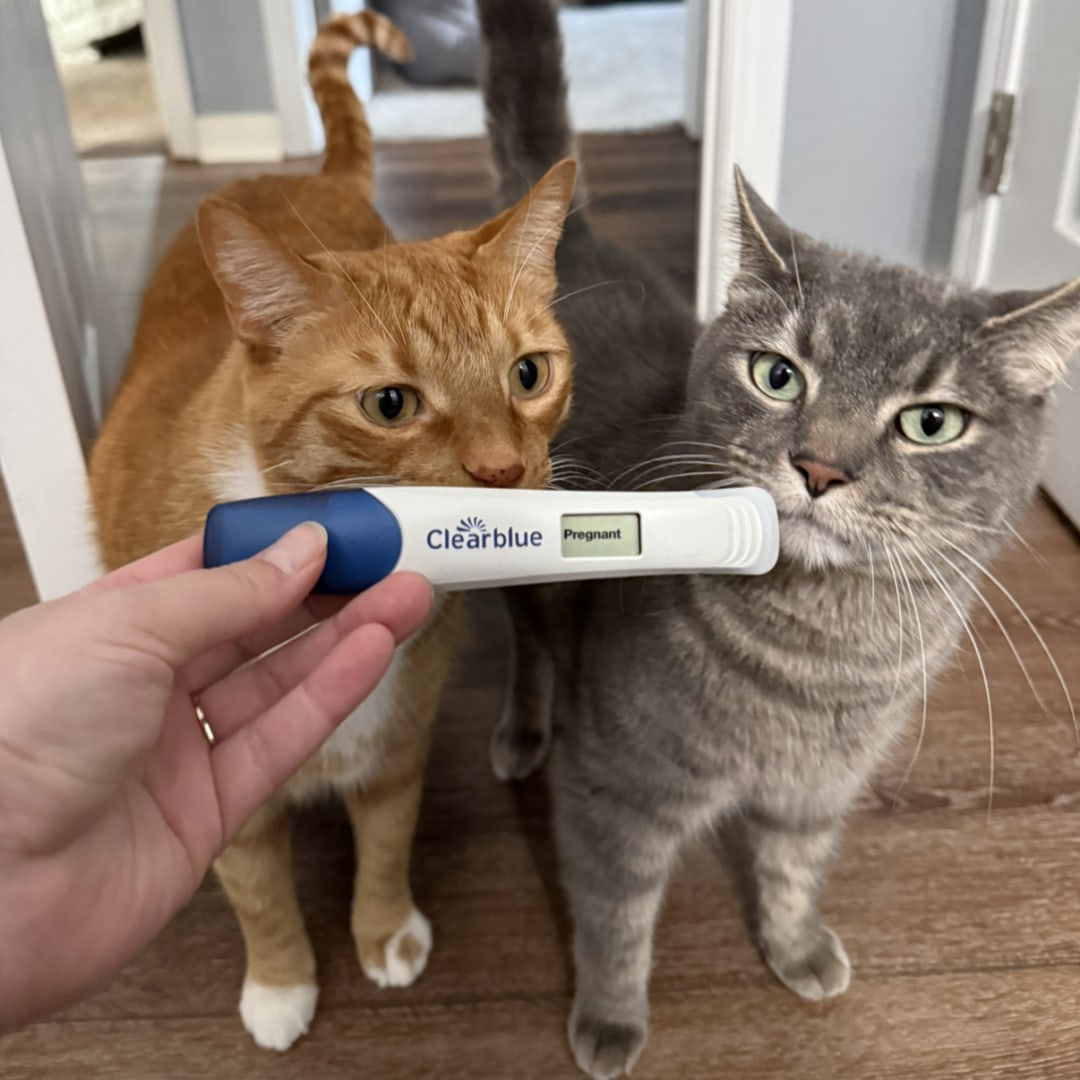 Photo shared by Kersten for their Babylist baby registry.