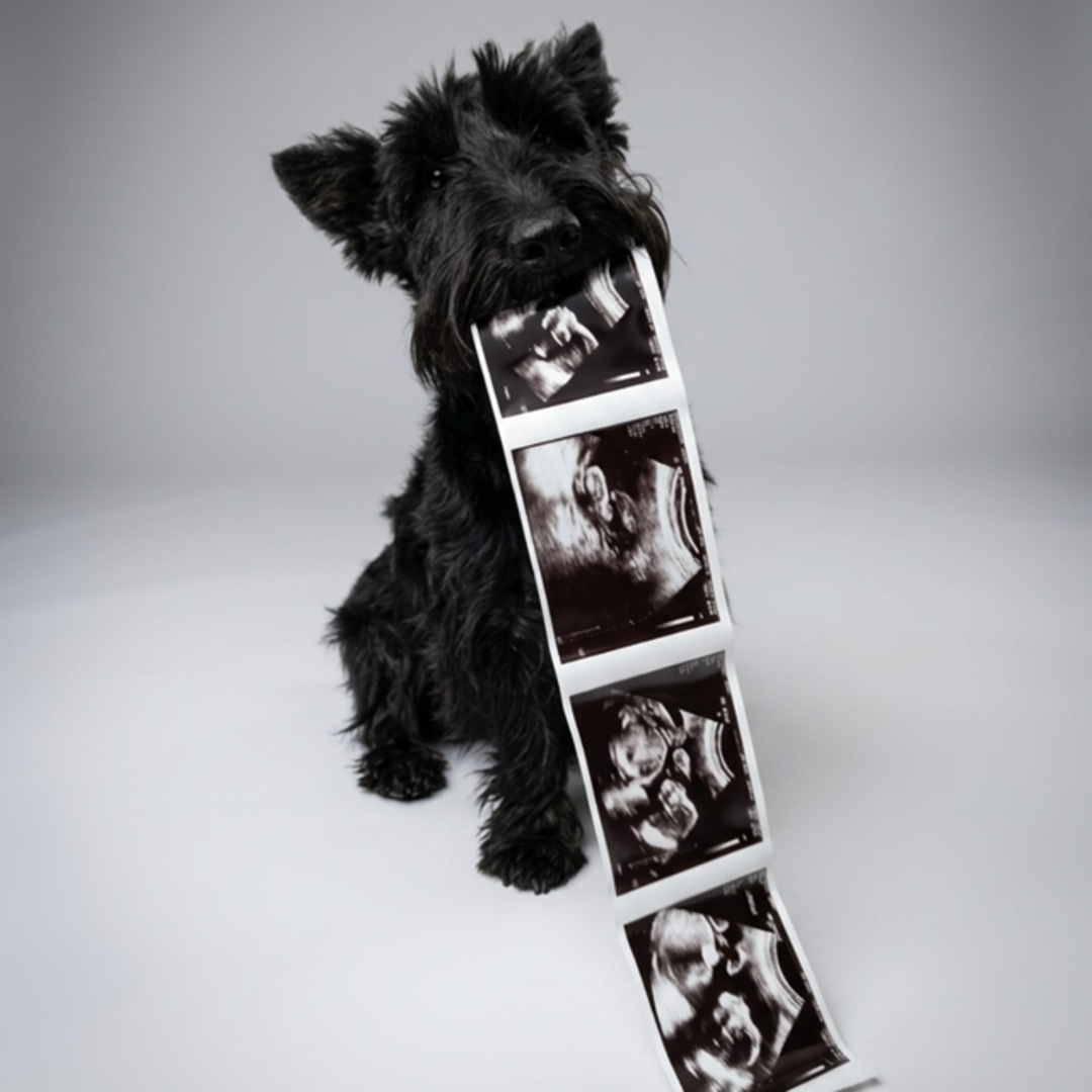 Photo shared by Nicole for their Babylist baby registry.