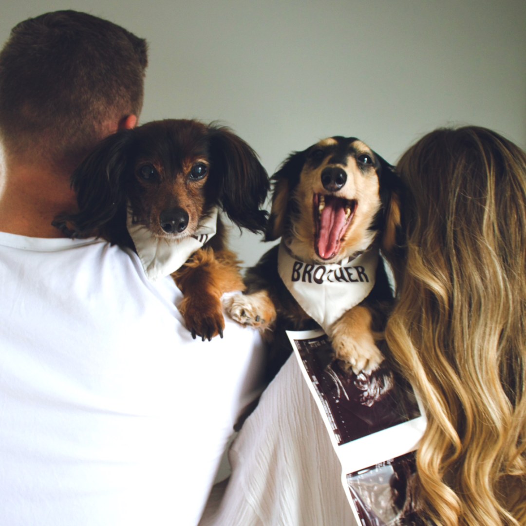 Photo shared by Erin for their Babylist baby registry.