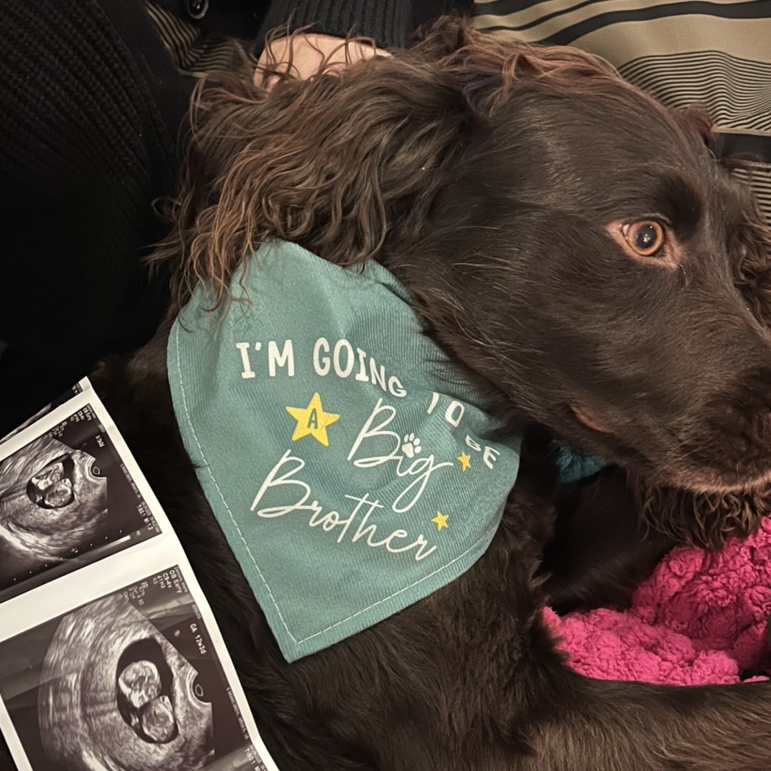 Photo shared by Maria for their Babylist baby registry.