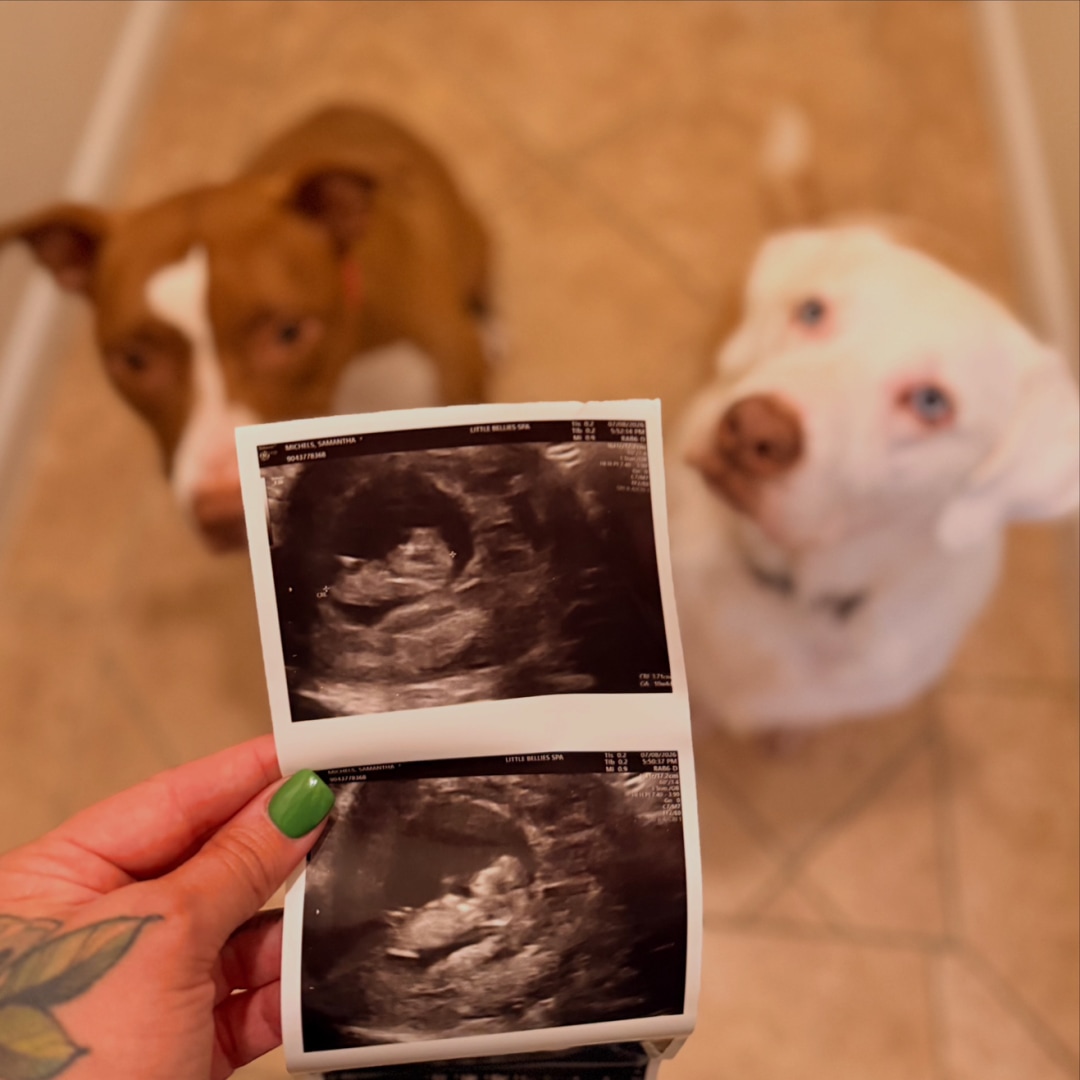 Photo shared by Samantha for their Babylist baby registry.