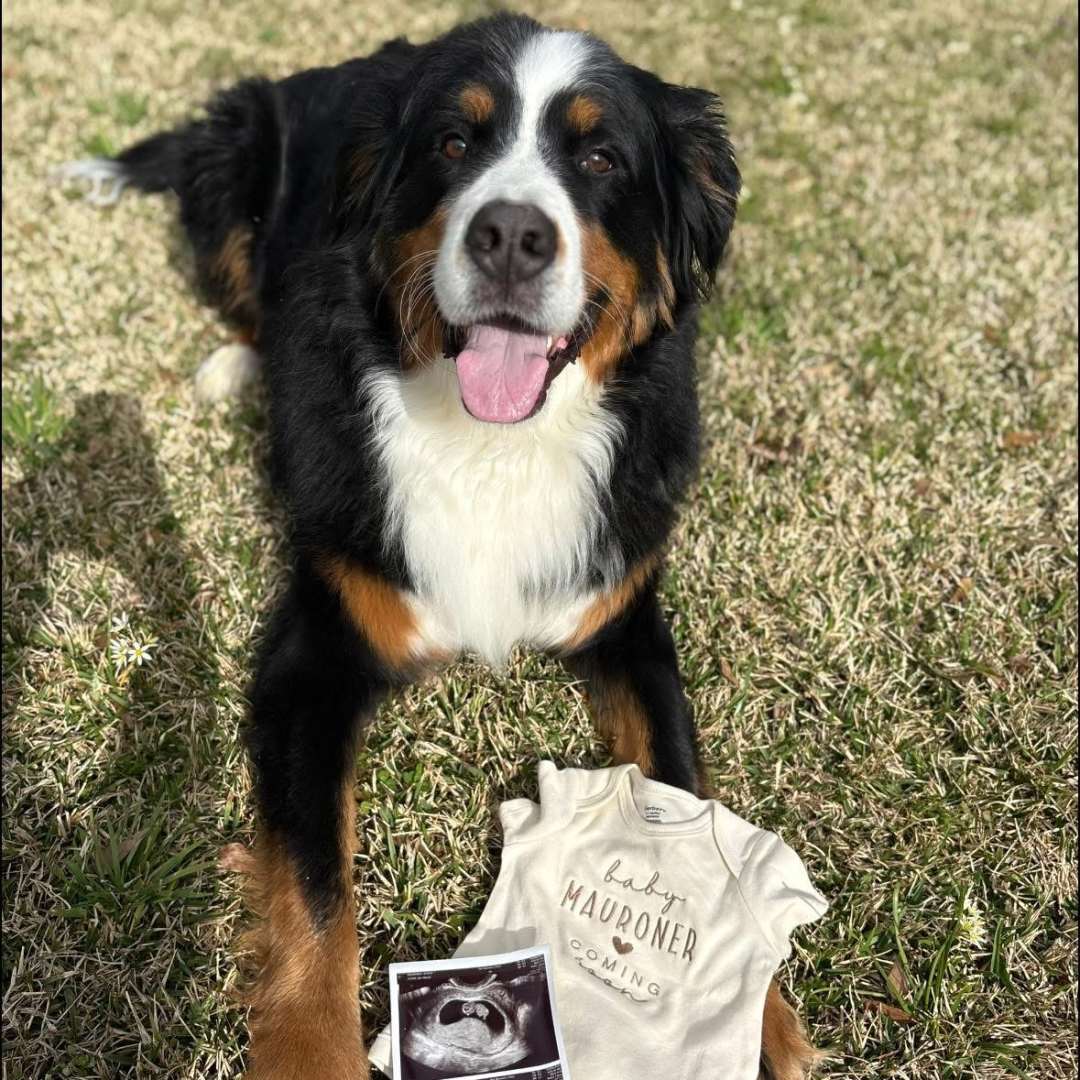 Photo shared by Jessica for their Babylist baby registry.