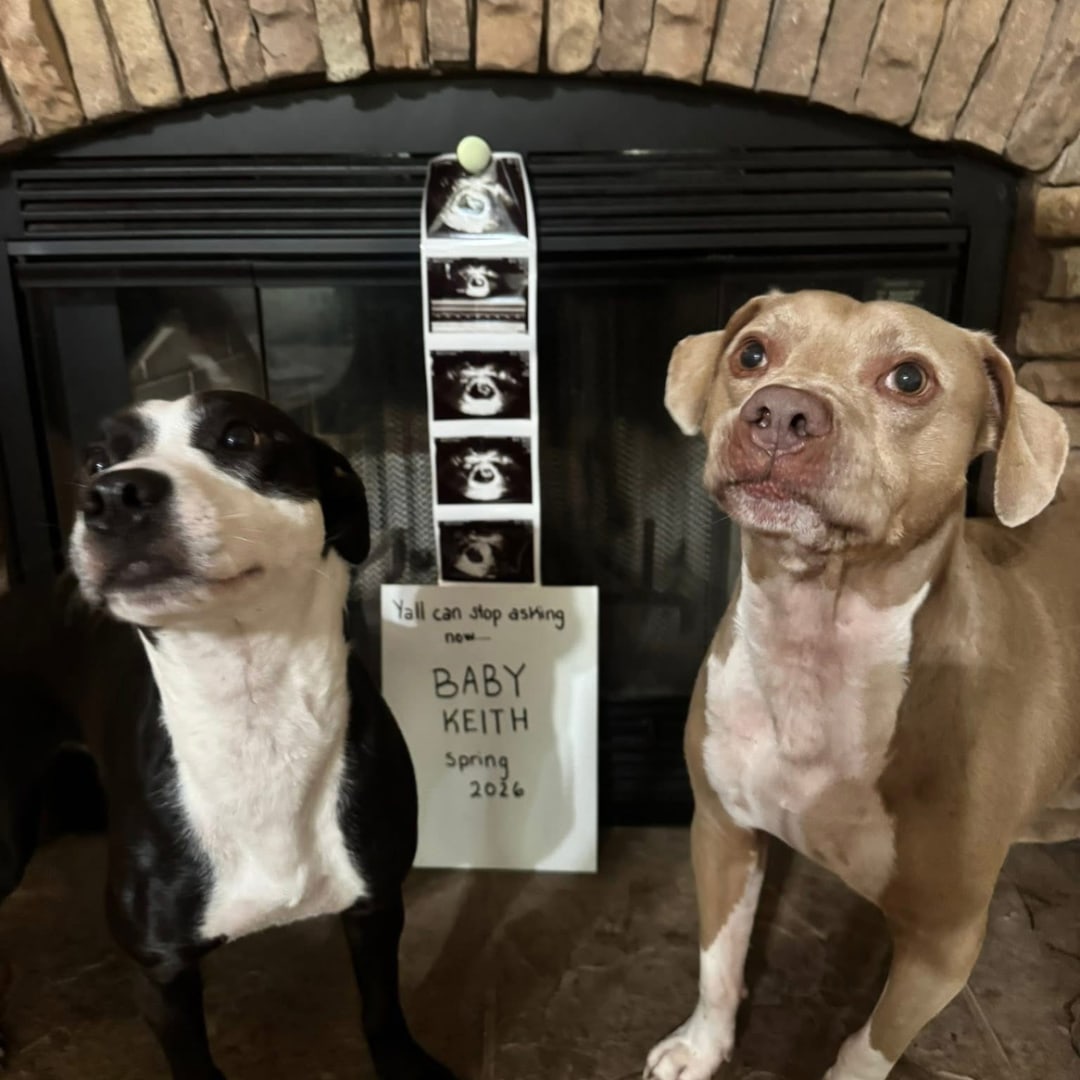 Photo shared by Elly for their Babylist baby registry.