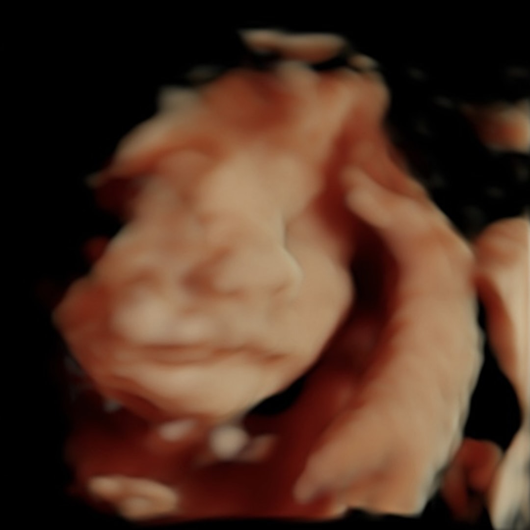 Photo shared by Emily for their Babylist baby registry.