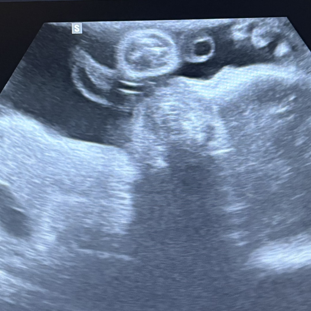 Photo shared by Marcel for their Babylist baby registry.
