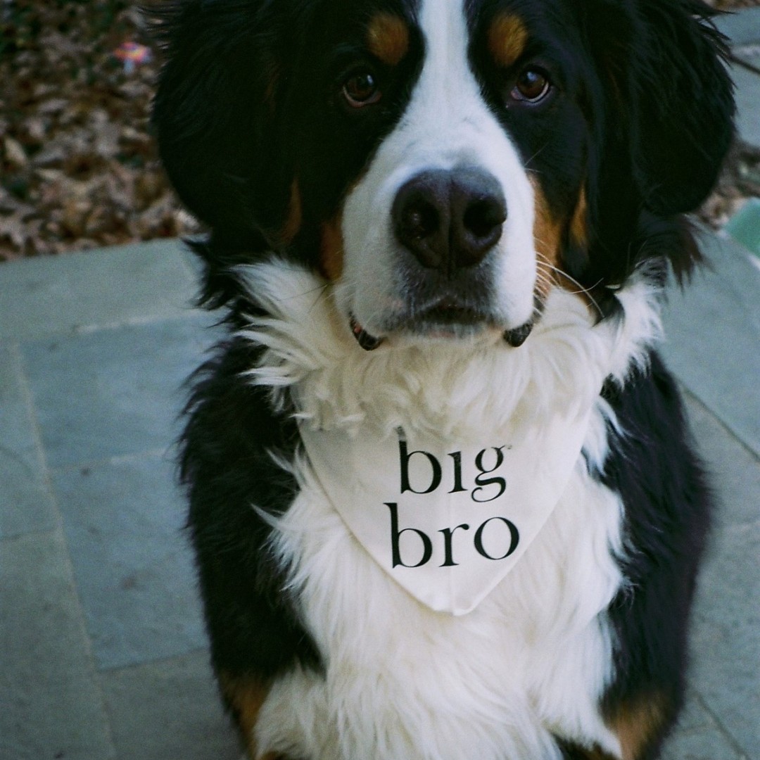 Photo shared by Cali for their Babylist baby registry.