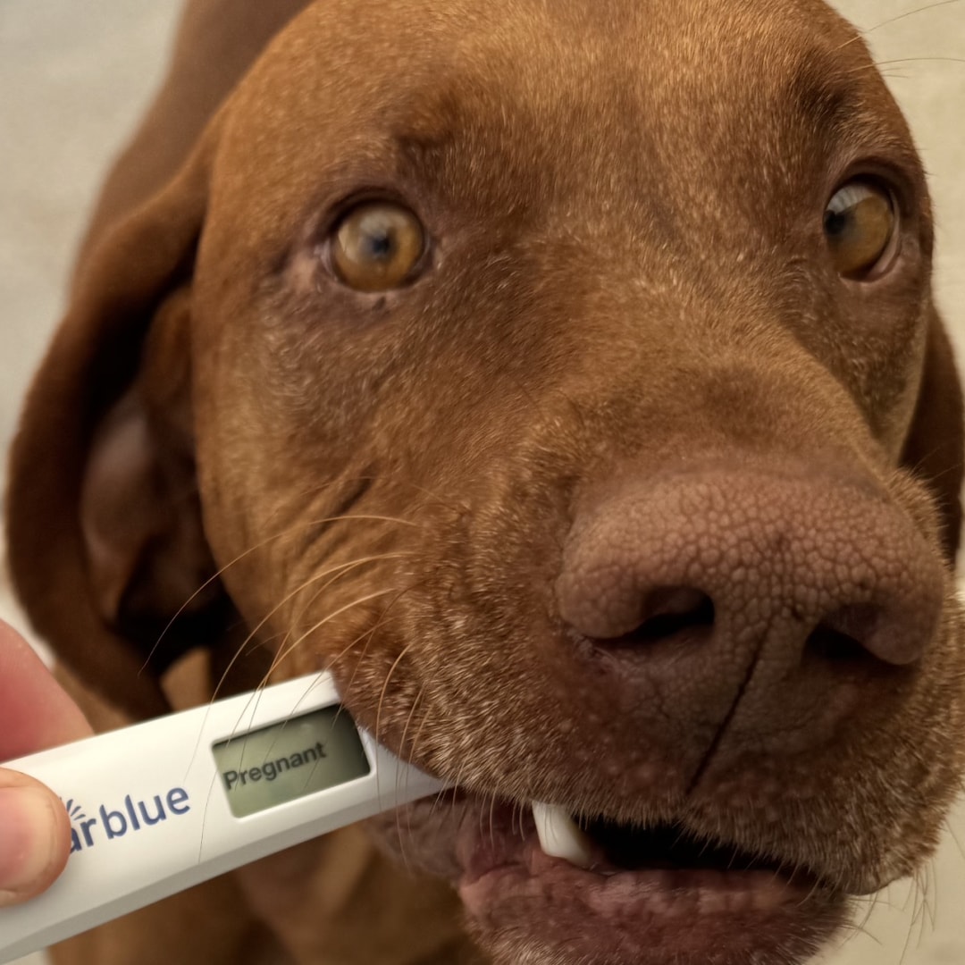 Photo shared by Daria for their Babylist baby registry.