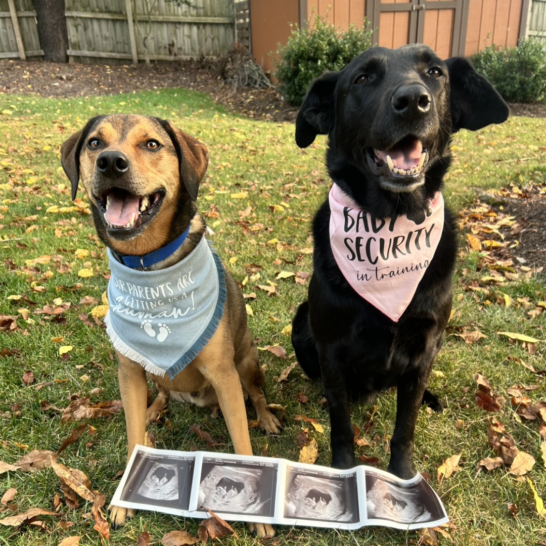 Photo shared by Caitlin for their Babylist baby registry.