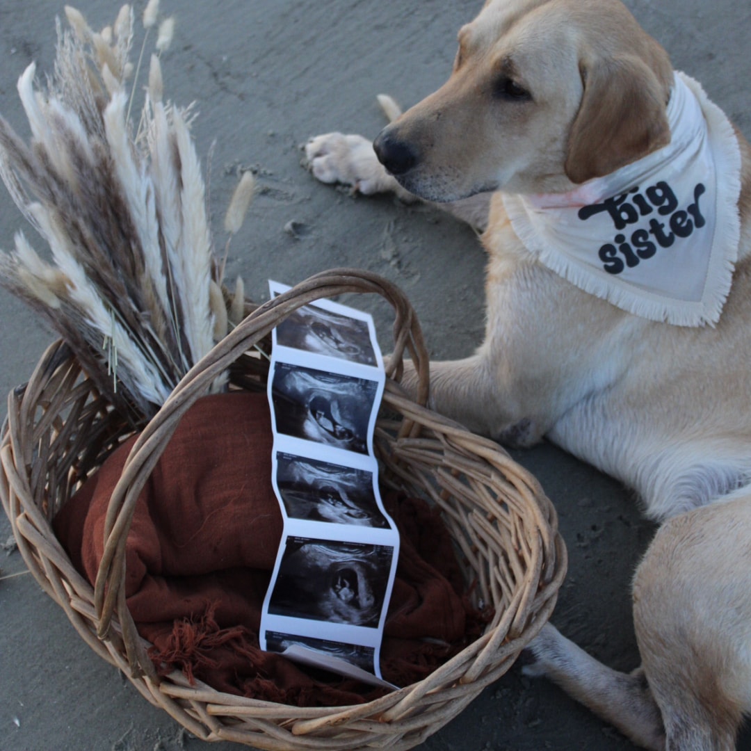 Photo shared by Bethany for their Babylist baby registry.