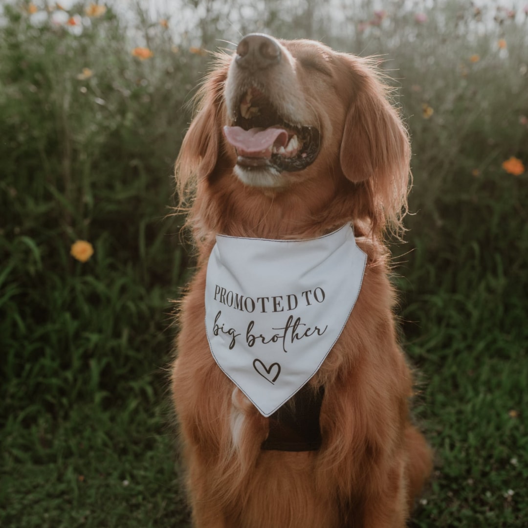 Photo shared by Jenna for their Babylist baby registry.