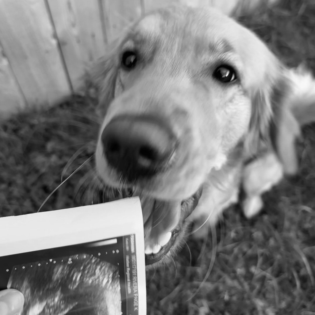 Photo shared by Paige for their Babylist baby registry.