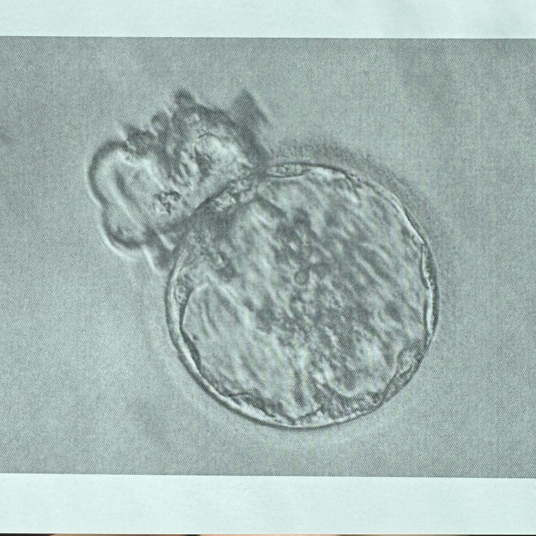 Photo shared by Emily for their Babylist baby registry.