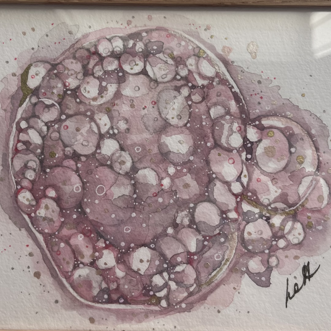 Photo shared by Taylor for their Babylist baby registry.