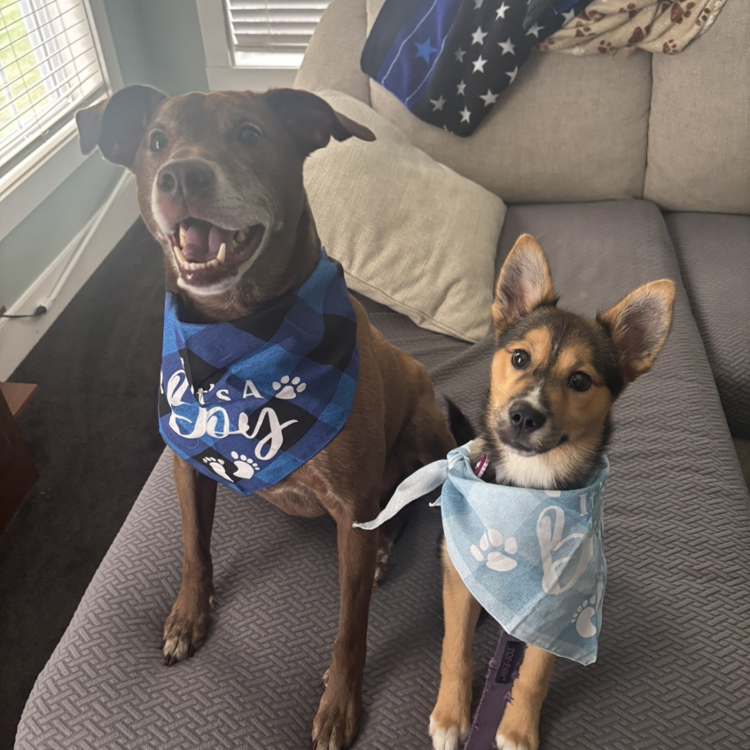Photo shared by Elizabeth for their Babylist baby registry.
